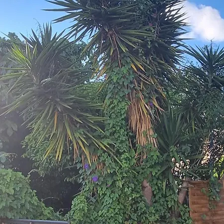 Holiday home O'soleil Toulon